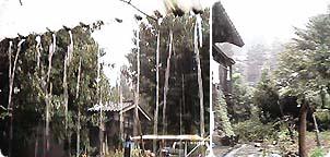 �������藎����J�A����R